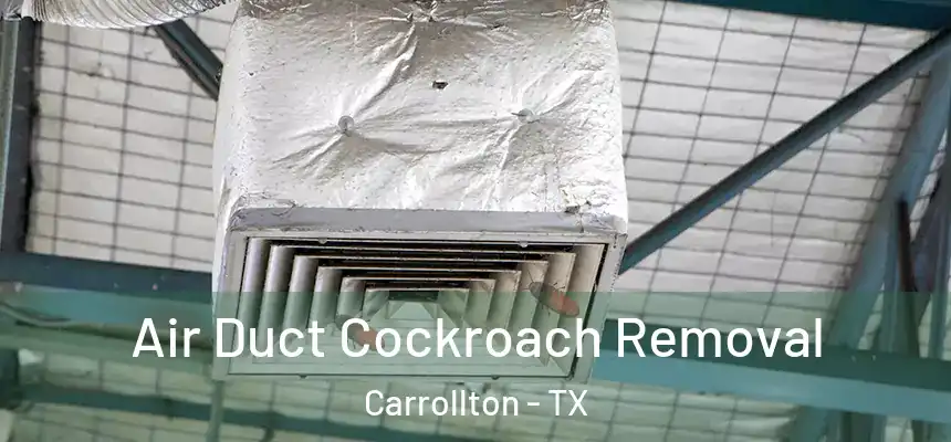 Air Duct Cockroach Removal Carrollton - TX