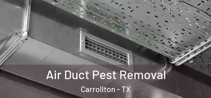 Air Duct Pest Removal Carrollton - TX