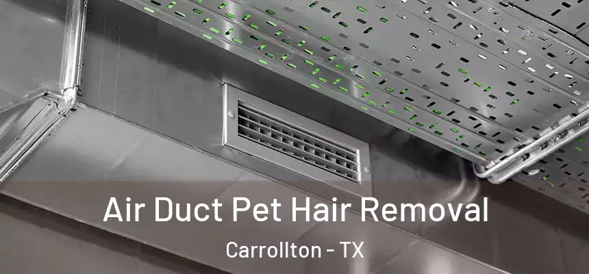 Air Duct Pet Hair Removal Carrollton - TX