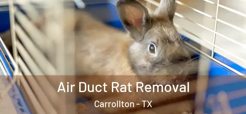 Air Duct Rat Removal Carrollton - TX