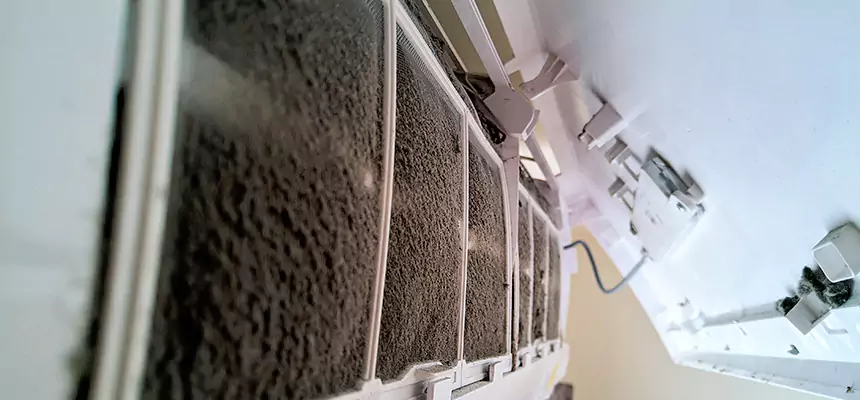 Preventive Air Duct Bacteria Removal in Carrollton