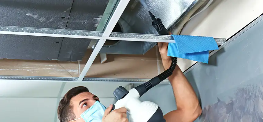 Our Air Duct Rodent Removal Services in Carrollton, TX