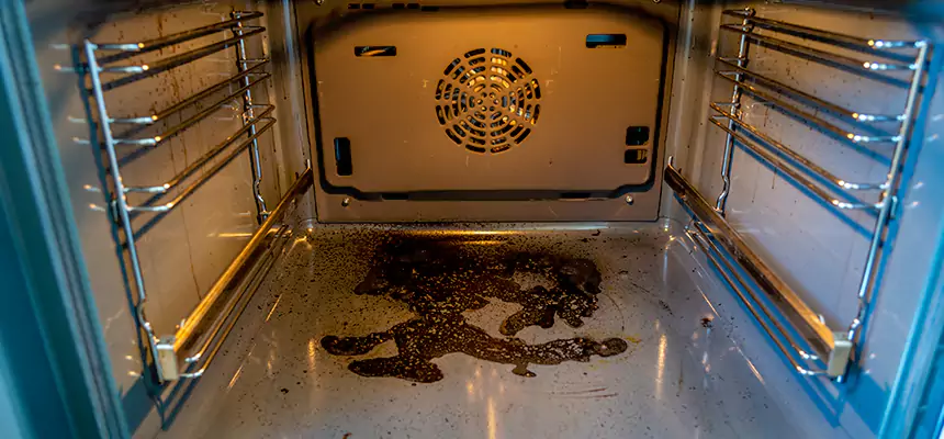 Our Dryer Vent Mold Cleaning Services in Carrollton, TX