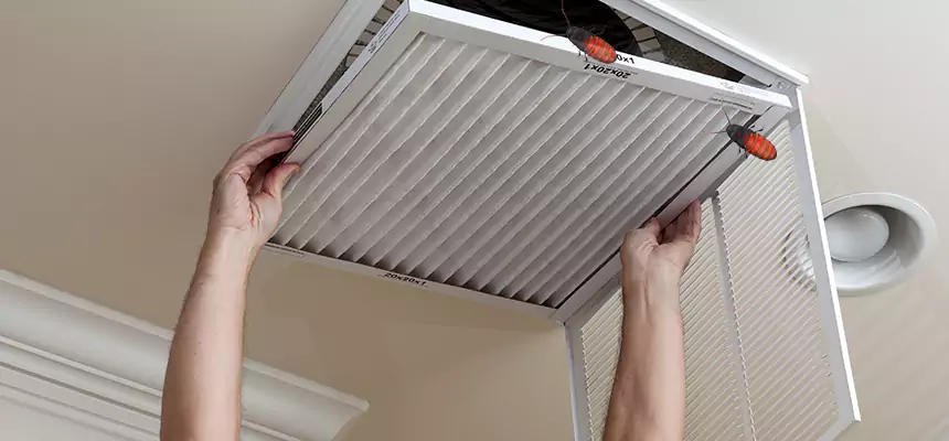 Our Insect Removal from Air Ducts Services in Carrollton, TX