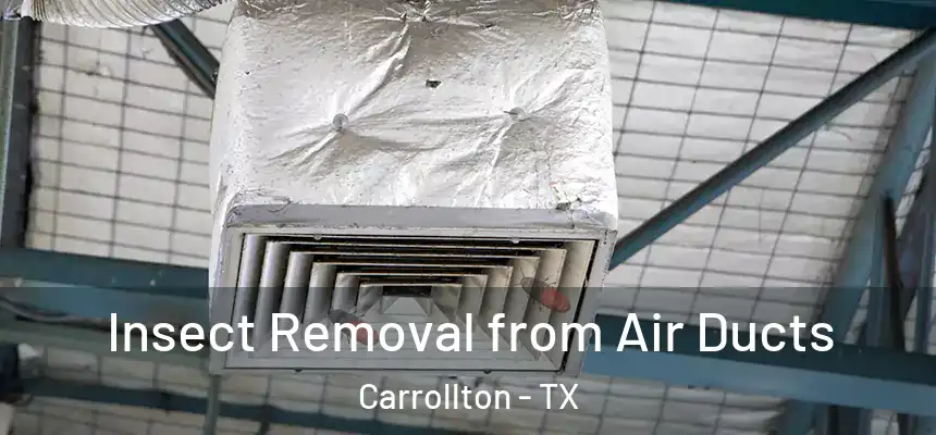 Insect Removal from Air Ducts Carrollton - TX