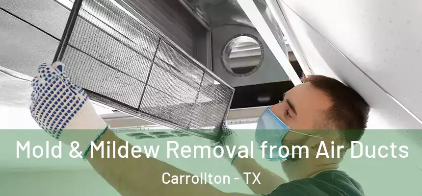 Mold & Mildew Removal from Air Ducts Carrollton - TX