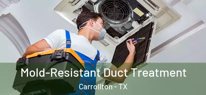 Mold-Resistant Duct Treatment Carrollton - TX