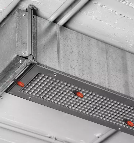 About Air Duct Cockroach Removal in Carrollton, TX