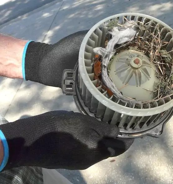 About Air Duct Mice Removal in Carrollton, TX