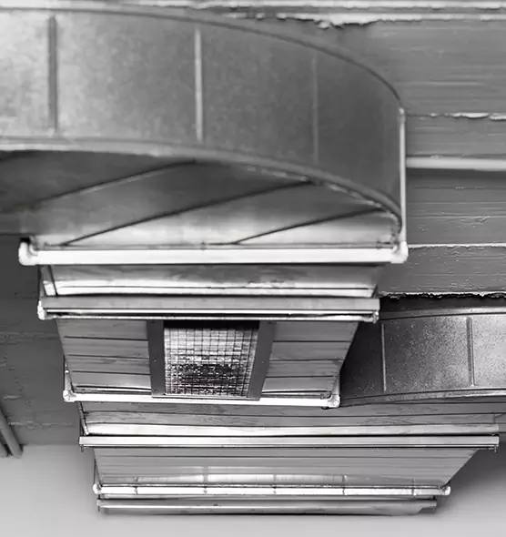 Professional Air Duct Pet Hair Removal in Carrollton, TX