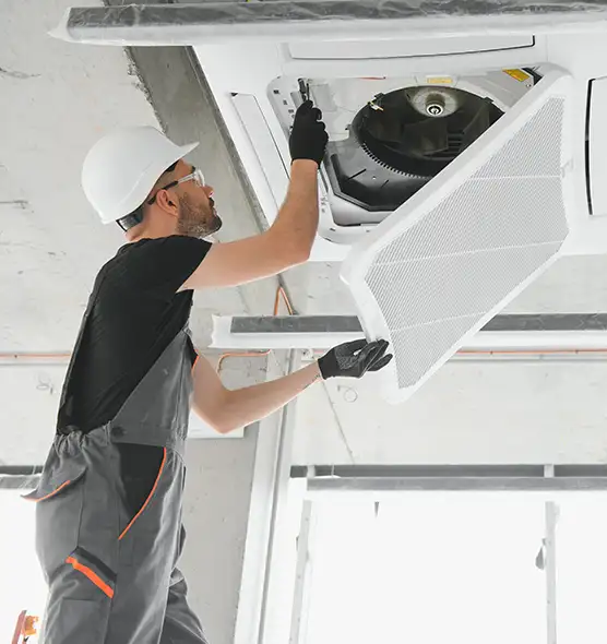 About Air Duct Rodent Removal in Carrollton, TX