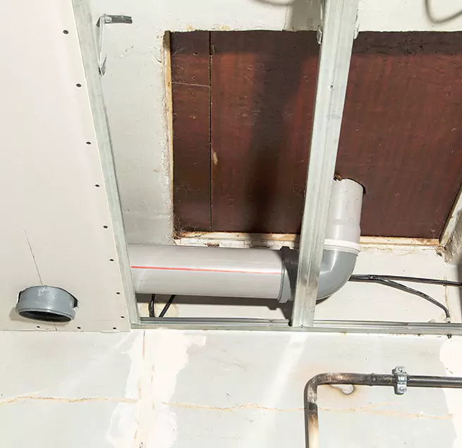 Why Homeowners & Businesses Trust Us in Carrollton, TX?