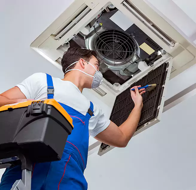 Why Homeowners & Businesses Trust Us in Carrollton, TX