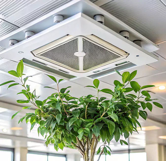 Why Homeowners & Businesses Trust Us in Carrollton, TX?