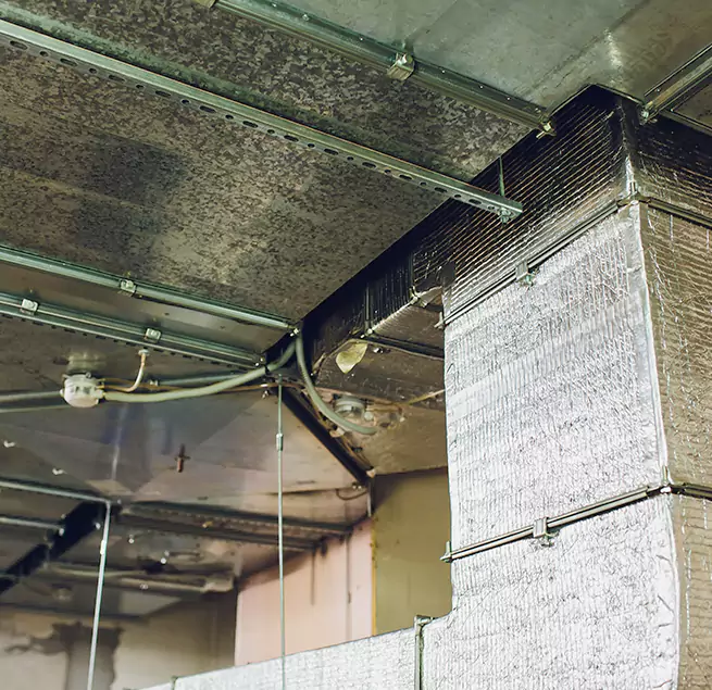 Why Homeowners & Businesses Trust Us in Carrollton, TX?